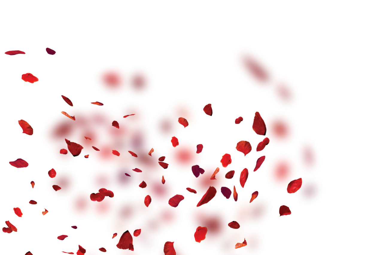  Wild poppies, Overlay, PNG, Clipart, Isolated, White Background, Frame, Flowers, red, poppies, design
