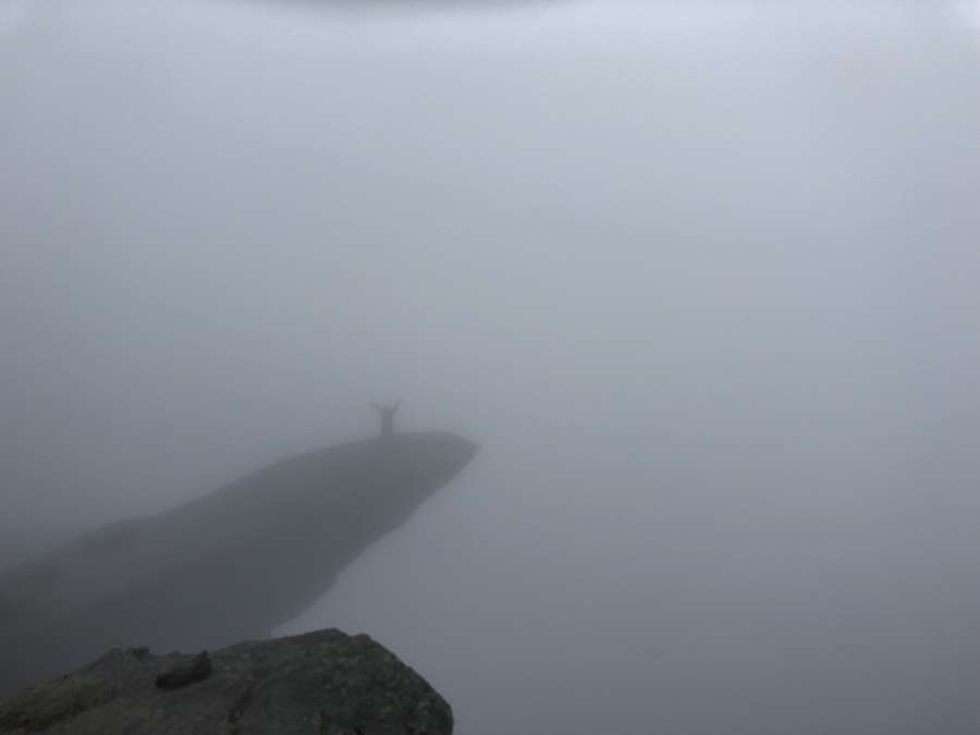 precipício, nevoeiro, pessoa, silhueta, paisagem