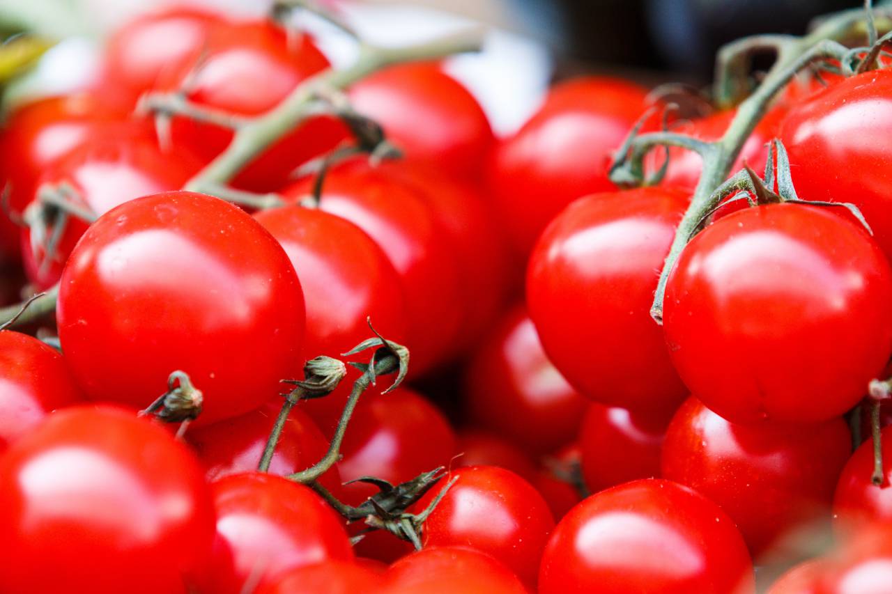 Cherry tomato;background,tomato,vegetable,freshness,food,healthy eating,close-up,agriculture,organic,nature,ripe,vegetarian food,leaf,fruit,summer,branch,plant,gourmet,dieting,meal, 