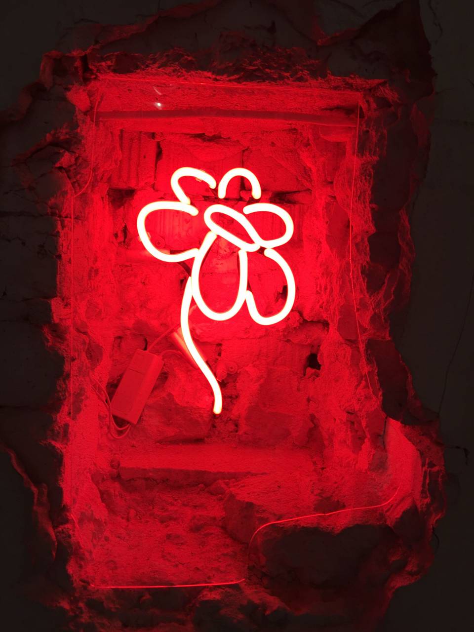 clover;neon;sign;red,backgrounds,abstract,illustration,decoration, 