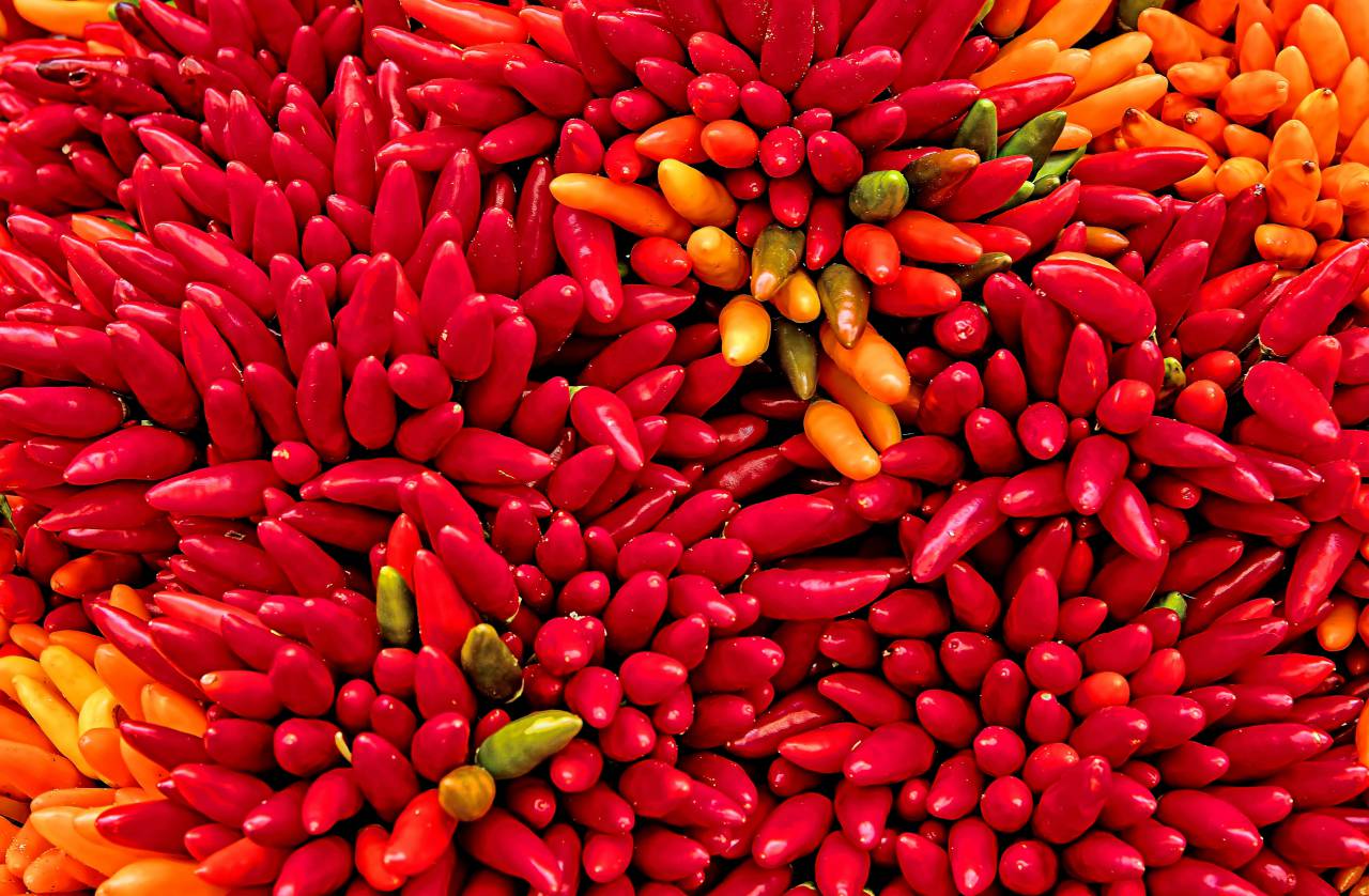 red;peppers;background,backgrounds,close-up,food,medicine,pill,multi colored,capsule, 