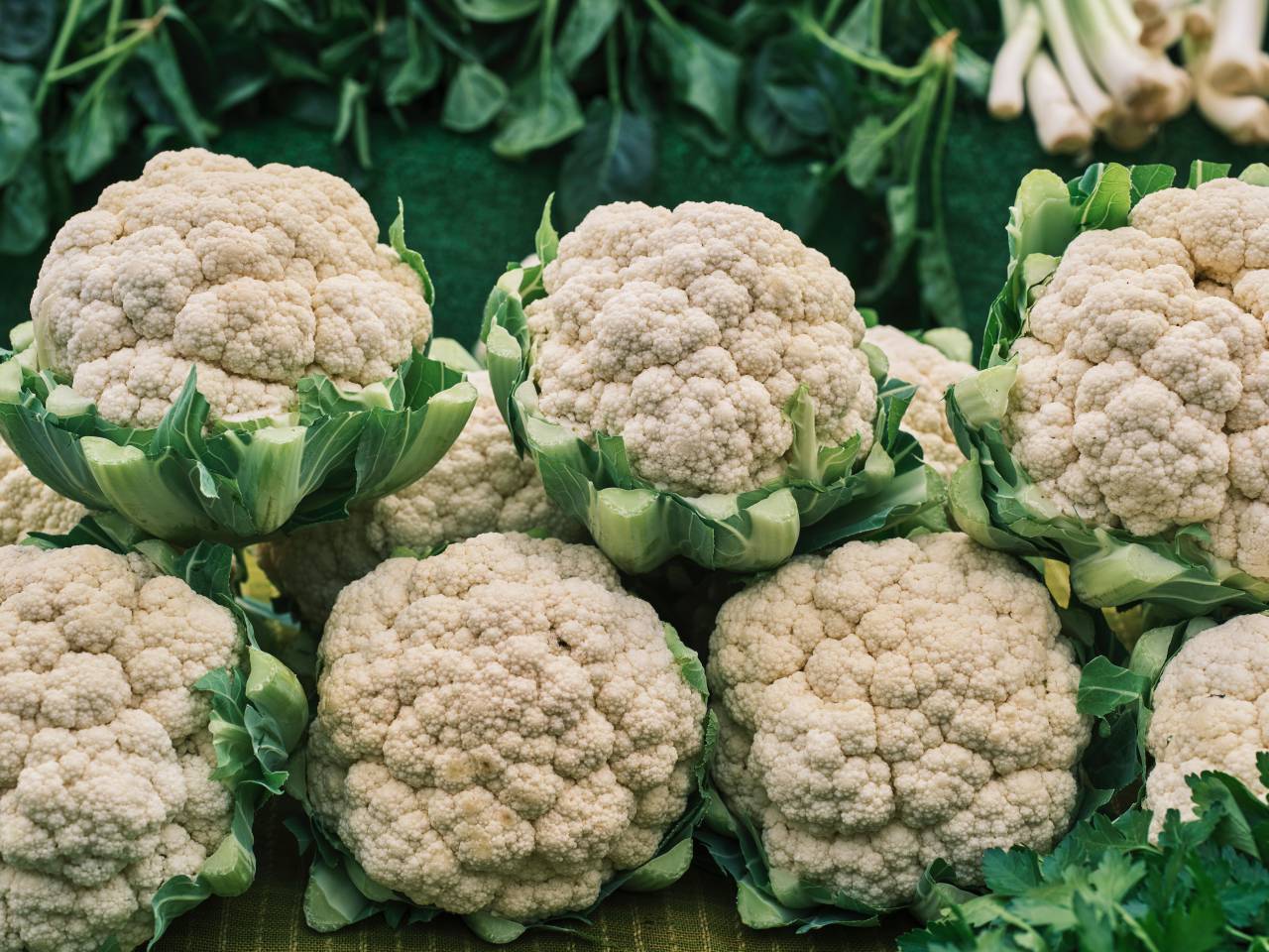 🥇 Image of organic food cauliflower cauliflower healthy eating vegetable freshness 【FREE PHOTO