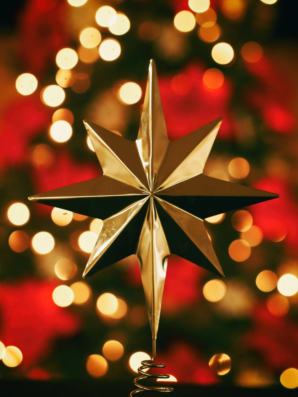 árbol, fondo, navidad, fiesta, diseño, decoración, alegre, celebración, temporada, diciembre, año, nuevo, navidad, tarjeta, feliz, estrella, oro, ornamento, ligero, festivo, presente, rojo, vector, ilustración, bola, brillante, tradicional, pino, decorativo, decoración, brillante, dorado, saludo, estacional, patrón, brillo, verde, fiesta, cinta, noel, color, hermoso, elemento, gráfico, brillo,