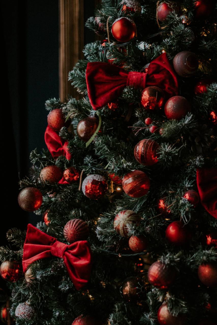 árbol, fondo, navidad, fiesta, diseño, decoración, alegre, celebración, temporada, diciembre, año, nuevo, navidad, tarjeta, feliz, estrella, oro, ornamento, ligero, festivo, presente, rojo, vector, ilustración, bola, brillante, tradicional, pino, decorativo, decoración, brillante, saludo, guirnalda, estacional, patrón, brillo, abstracto, verde, fiesta, cinta, noel, color, hermoso, elemento, gráfico, brillo,