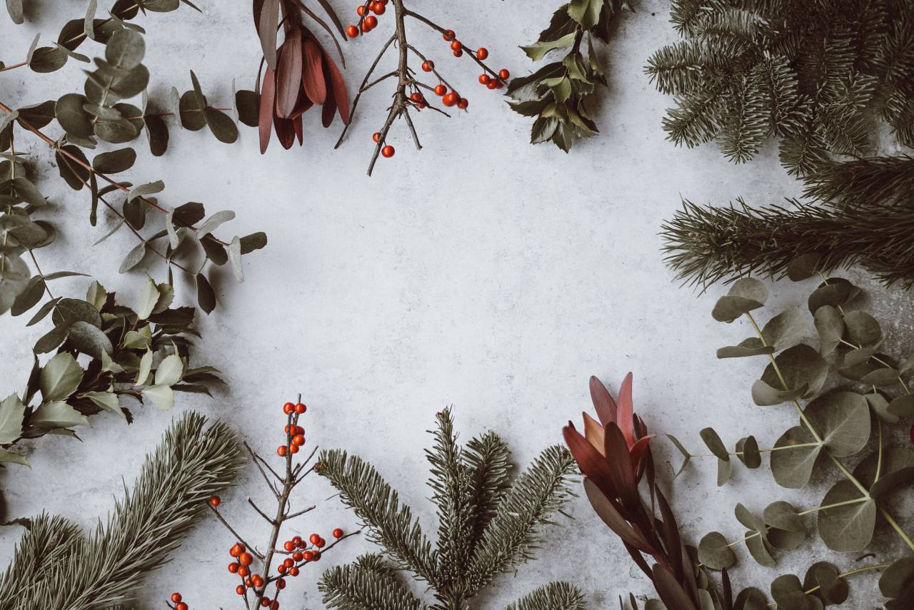 tree, background, christmas, holiday, design, decoration, merry, celebration, season, december, year, new, xmas, card, happy, star, gold, ornament, light, festive, present, red, vector, illustration, ball, bright, traditional, pine, decorative, decor, shiny, golden, greeting, garland, seasonal, pattern, sparkle, abstract, green, party, ribbon, color, beautiful, element, graphic, shine, copy space, mockup, 
