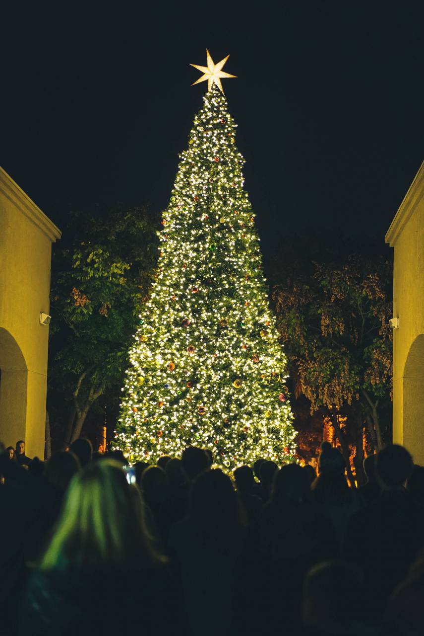 árbol, fondo, navidad, fiesta, diseño, decoración, alegre, celebración, temporada, diciembre, año, nuevo, navidad, tarjeta, contento, estrella, oro, ornamento, ligero, festivo, presente, rojo, vector, al aire libre, bola, brillante, tradicional, pino, decorativo, decoración, brillante, saludo, guirnalda, estacional, patrón, brillo, parque, verde, fiesta, cinta, noel, color, hermoso, elemento, gráfico, brillo,