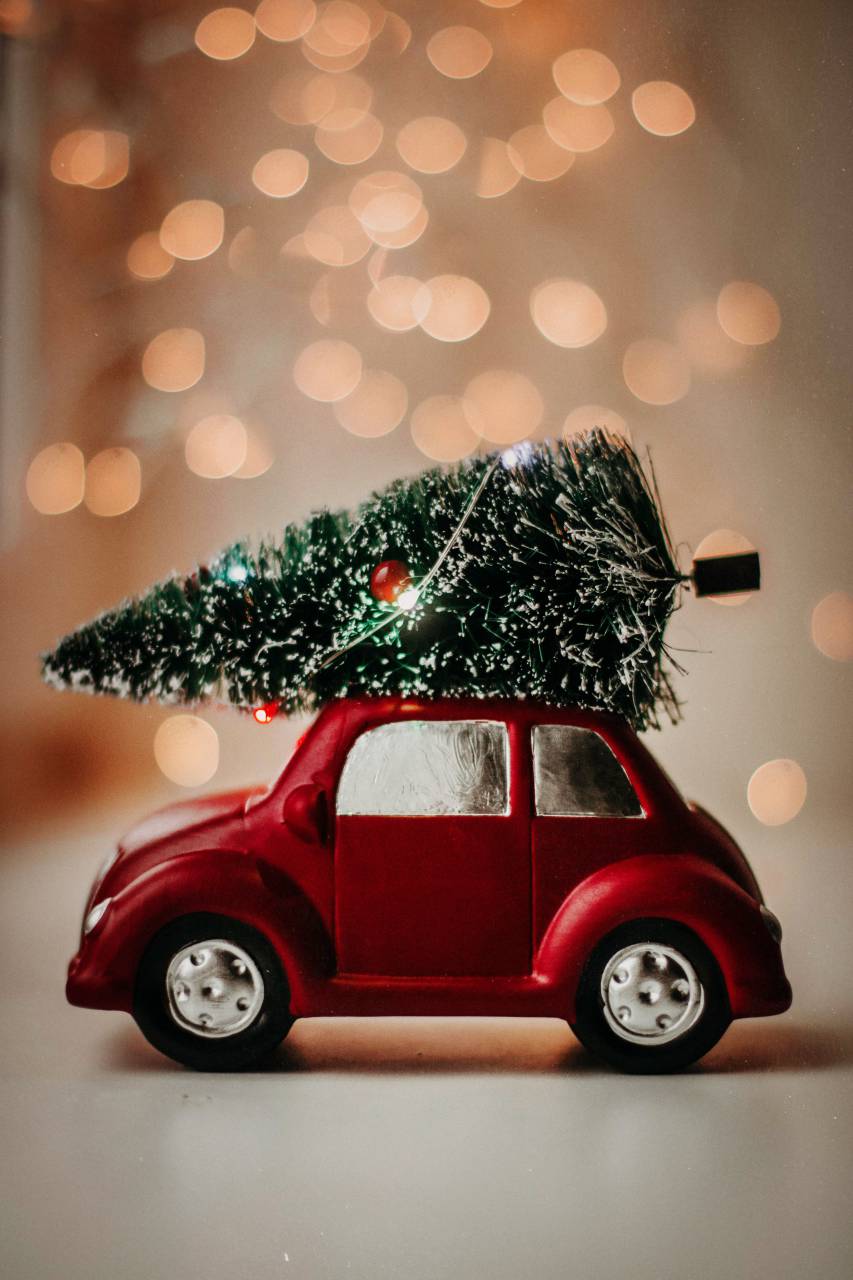 toy, christmas, car, happy, tree, celebration, greeting, winter, holiday, xmas, red, drive, top, season, gift, decoration, miniature, green, roof, snow, retro, carry, seasonal, year, background, present, cute, small, merry, new, evergreen, festive, card, vintage, wooden, little, bow, concept, design, pine, nobody, outdoor, wood, christmas tree, copyspace, cartoon, imitation, blue, 