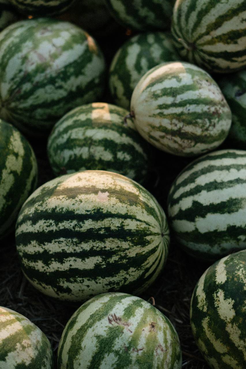 fresh, watermelon, background, summer, healthy, sweet, fruit, diet, red, juicy, food, ripe, nature, delicious, organic, texture, freshness, tasty, natural, dessert, color, nutrition, water, vegetarian, tropical, full frame, refreshment, raw, closeup, green, pattern, vitamin, snack, design, textured, nobody, top view, bright, piece, macro, fruits, concept, close-up, 