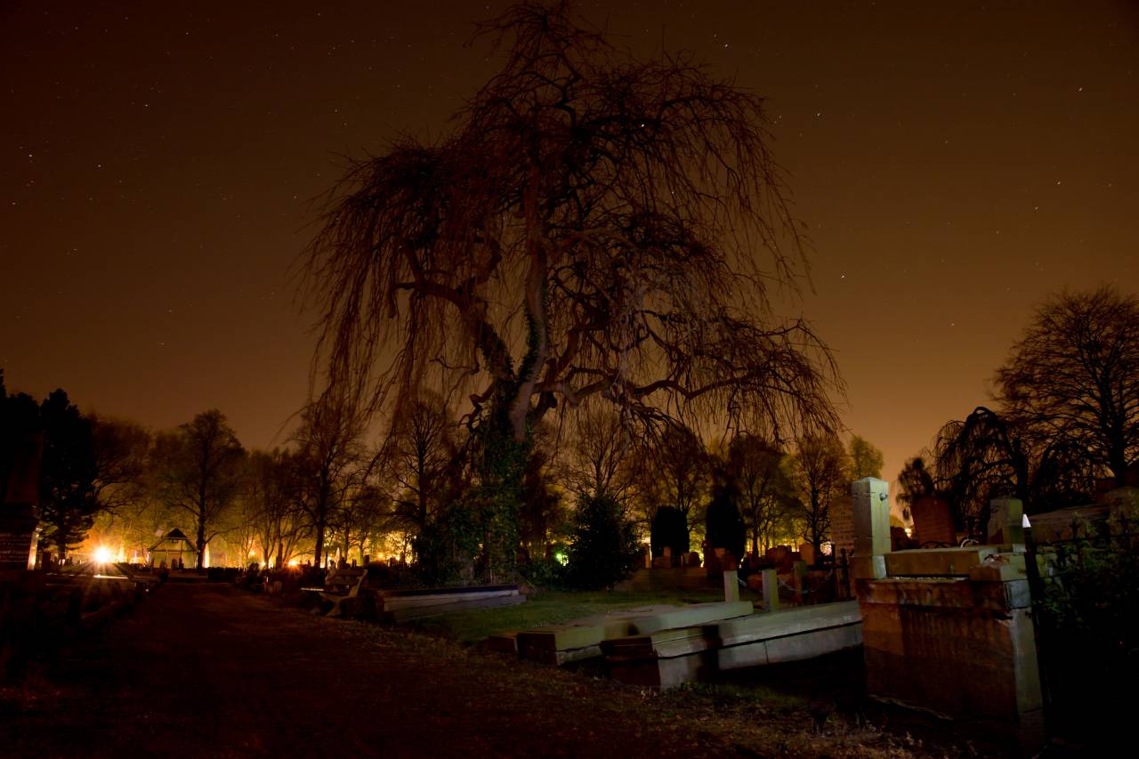cementerio, lápidas, cementerio, lápidas, oscuro, noche, miedo, halloween,