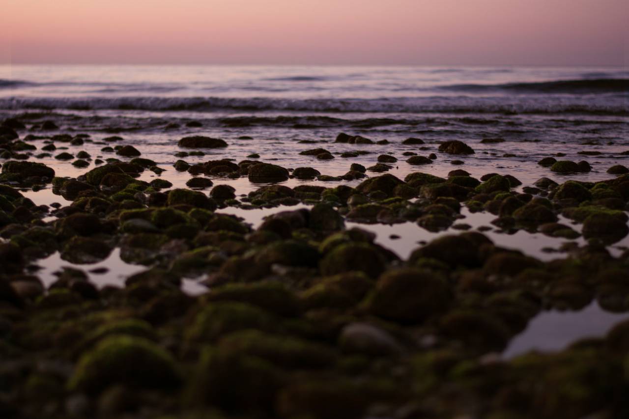 nature, landscape, travel, adventure, water, ocean, sea, beach, rock, stone
, 