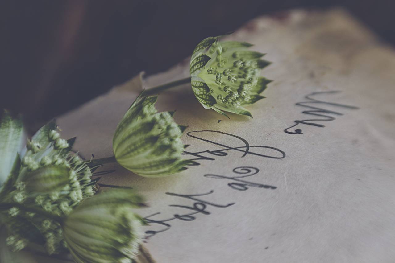 old, letter, close up, note, vintage, history, flower, journal, writing, communication, antique, detail, retro, decor, objects, handwritten
, 