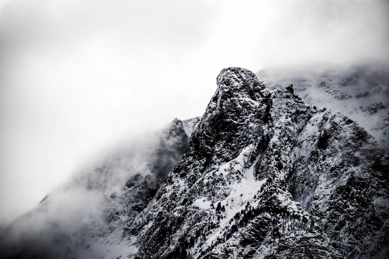 snow, winter, cloud, sky, trees, plant, fog, cold, weather
, 
