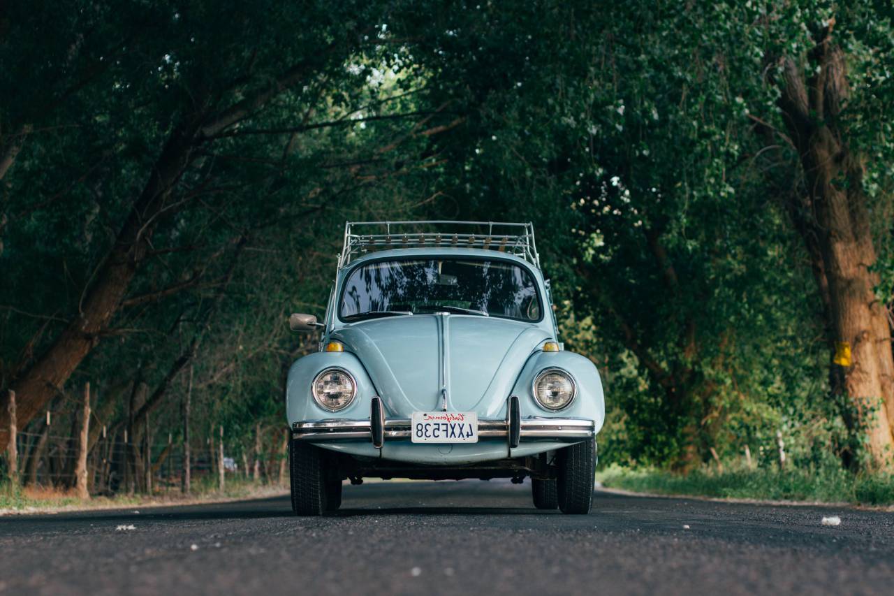 transportation, bug, volkswagen, drive, street, road, trees, sidewalk, gutter, still
, 