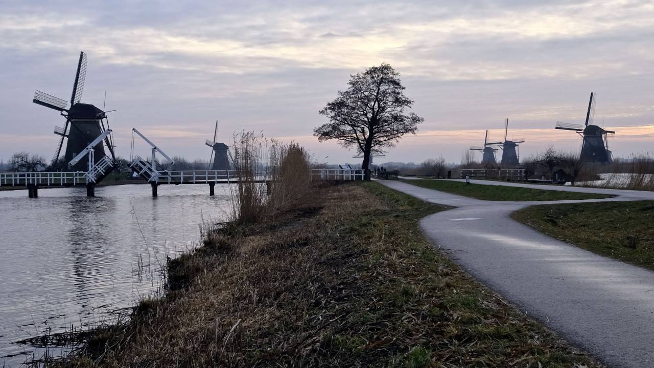 trees, road, windmill, farm, clouds, sky, nature, bridge, infrastructure, water, ocean, lake, river, grass
, 