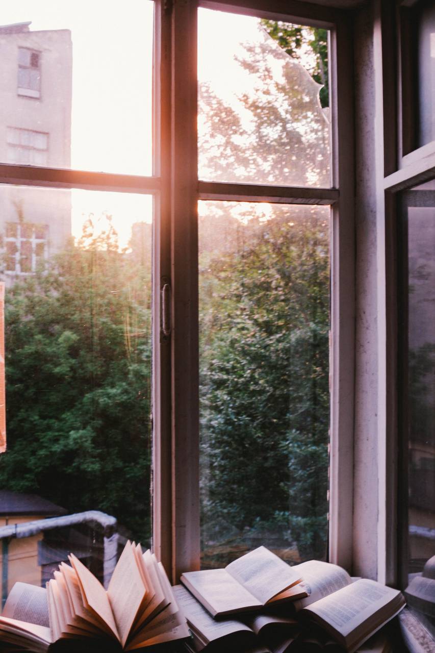 Ventana, vidrio, escudo, libros, conocimiento, leer,
