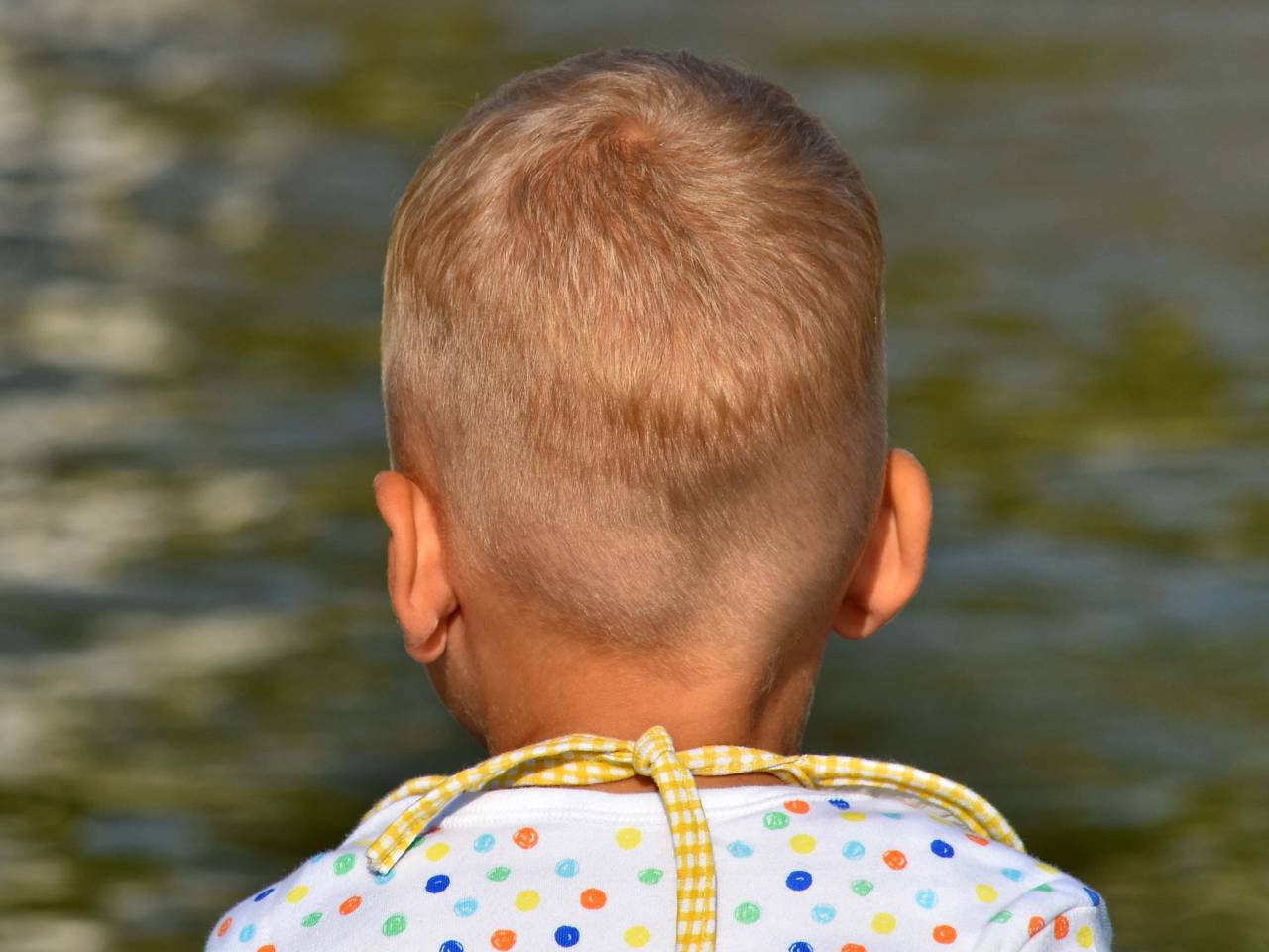 chico, hijo, agua, niño, ?verano?, diversión, naturaleza