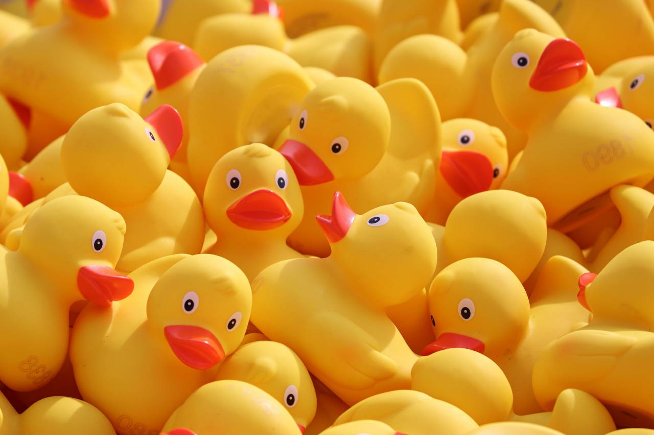 🥇 Image of Rubber Ducky - 【FREE PHOTO】 100036593