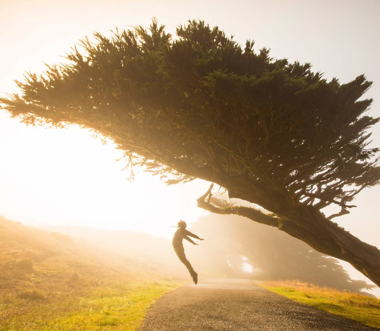 woman;outdoors;jumping;sunset;dreaming,nature,outdoors,men,sunset,tree,summer,women,one person,lifestyles,landscape,mountain,sun,sunlight,adult,adventure,sport,exercising,rural scene,grass,healthy lifestyle, 